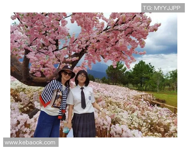 探索哈德森的魅力与历史:一段关于自然与人文的旅程