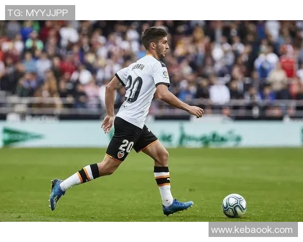 费兰托雷斯在西班牙国家队的崛起与未来展望分析